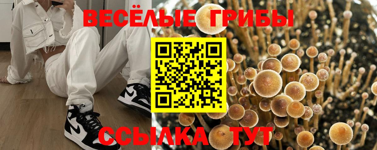 Галлюциногенные грибы ЛСД  Вход с VPN  Абинск  Псилоцибиновые грибы мицелий 